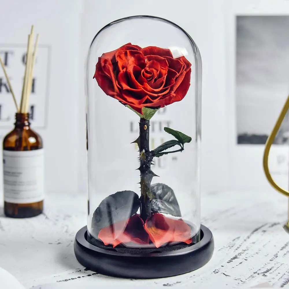 

Valentine Preserved Rose In Glass Dome Eternal Rose Wedding Flower Beauty and The Beast Forever Love Christmas Gifts for Women