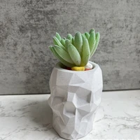 cut skull concrete planter silicone molds for diy handmade uv epoxy plaster faceted skull pen holder flowerpot storage box mould