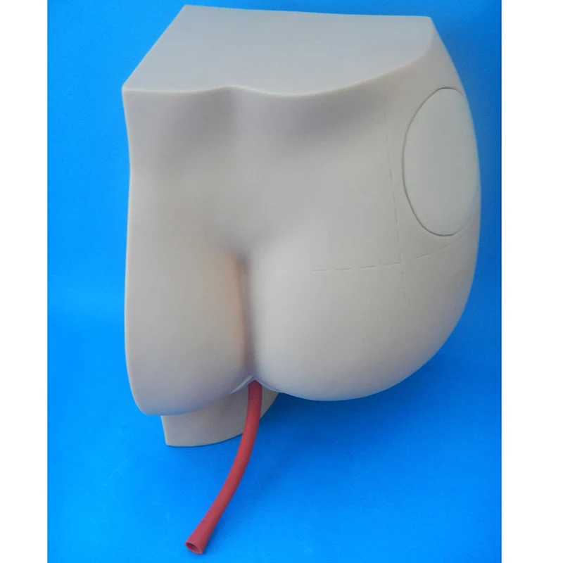 Medical Human Buttocks muscle injection Model ,Hip Intramuscular Injection Simulator