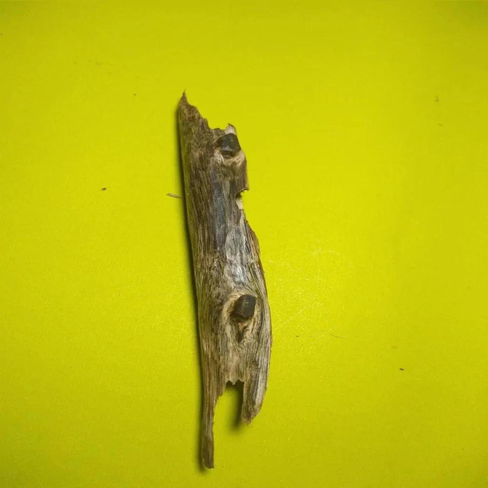 

Hainan Chenxiang, China High-Quality Rare Agaric Wood Oud Oudh Chip