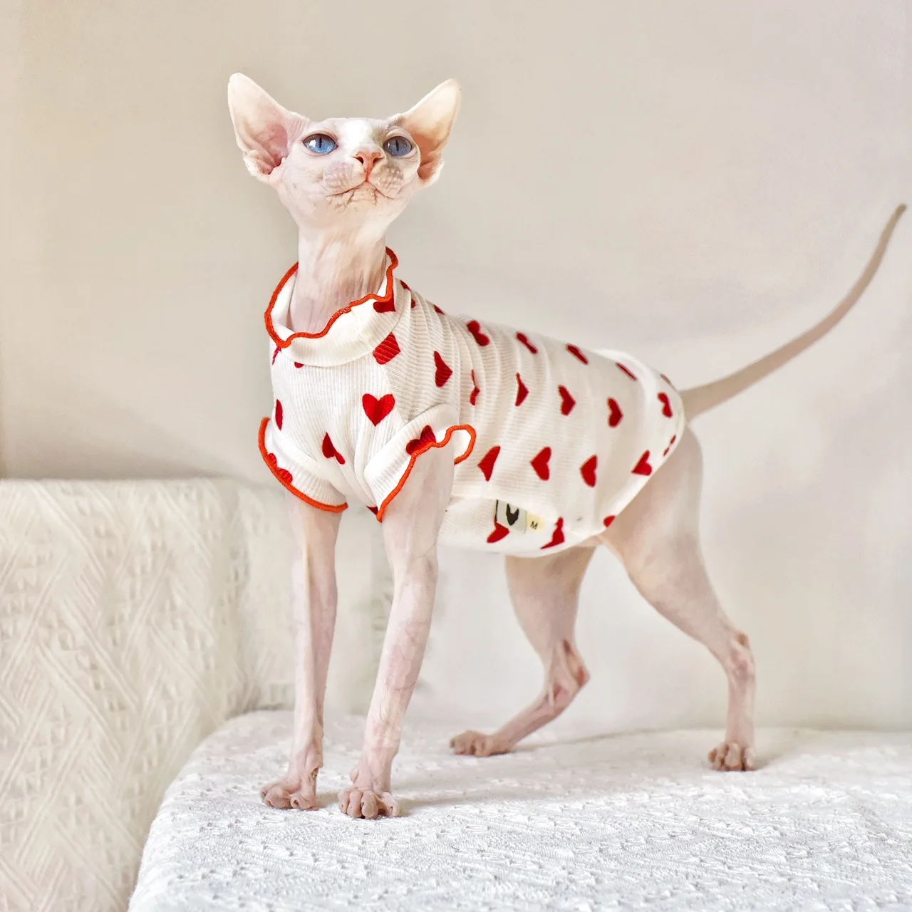 

Solid Fleece Cat Clothes Winter Sphinx Cat Vest Harness for Small Medium Cats Yorkie Chihuahua Puppy Dog Pullover Coat