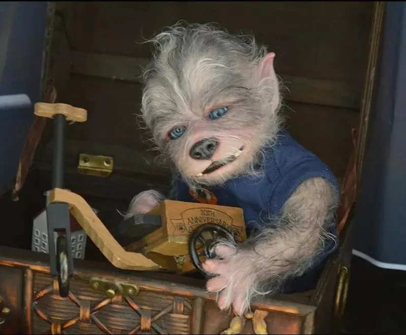 

19Inch Reborn Doll Kit Robbie The Werewolf Lifelike Soft Touch Fresh Color Collectible Art DIY Toy for Children Gifts