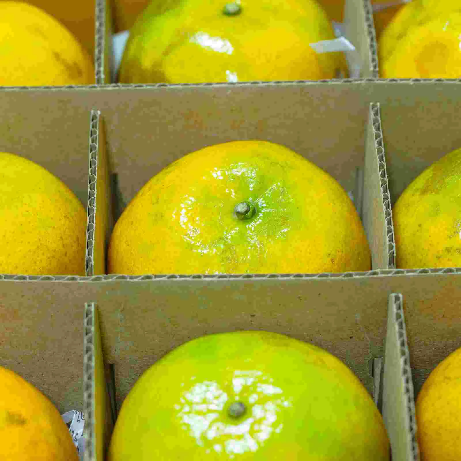 Органайзер для доставки картонные разделители детские коробки упаковки