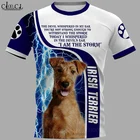 HX новейшая популярная футболка ирландского терьера Унисекс Мужская Уличная одежда 3D принт Харадзюку Повседневный пуловер с коротким рукавом Прямая поставка