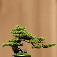 welcome pine plant bonsai green plant bonsai living room tv cabinet hallway office decorations decoration new chinese style