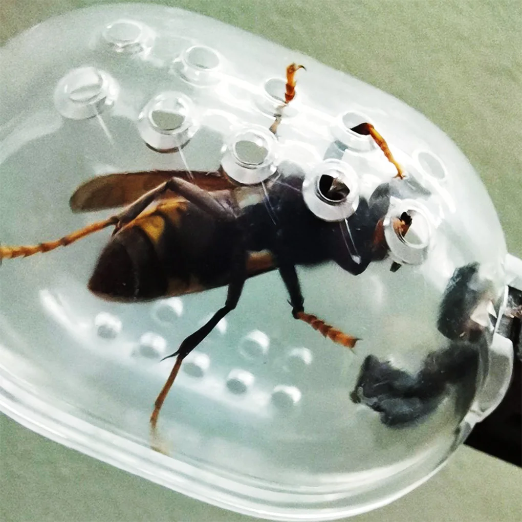 Portable Transparent Insect Catcher Scissor Indoor Outdoor Kids Fish Tank Bug Scooper Clamp Tong Tweezer Biology Study Supplies images - 6