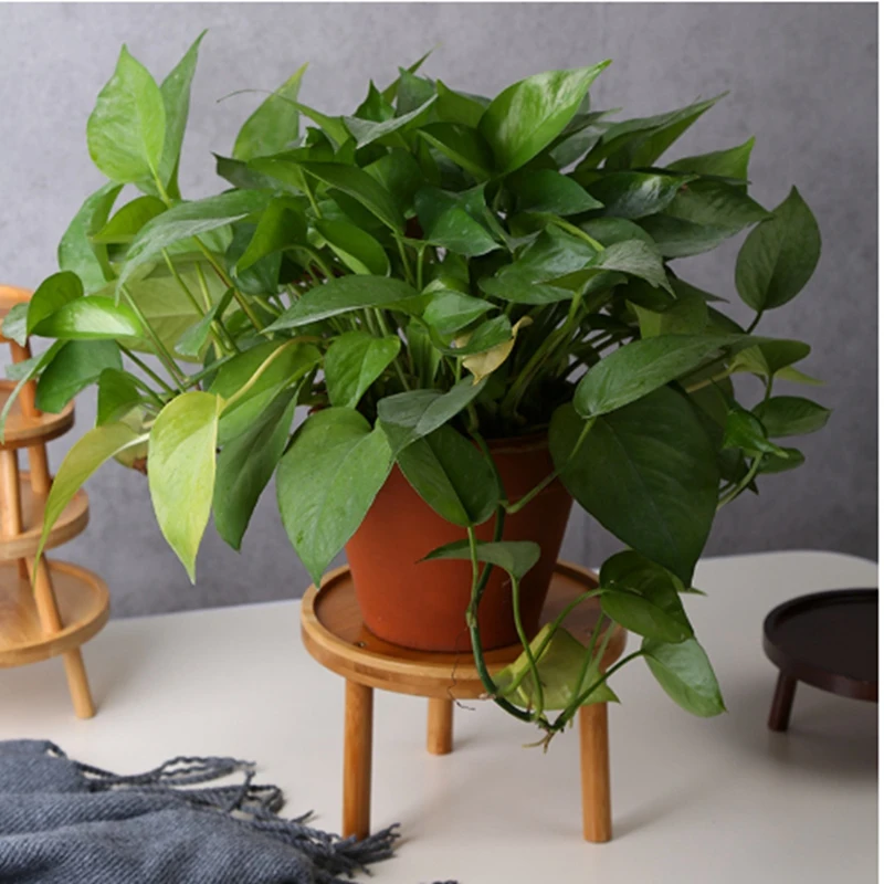 Многофункциональный табурет небольшой круглый стол для горшечных растений