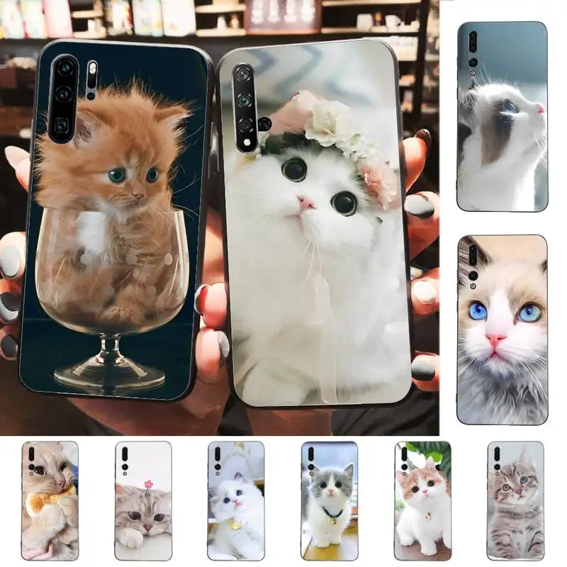 

Cute Cat Kitten Phone Case for Huawei P30 40 20 10 8 9 lite pro plus Psmart2019