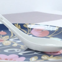 6pcs set plain white bone ceramic spoon kis soup spoon korean chinese rice scoop ice cream ladle porcelain dinner baby china