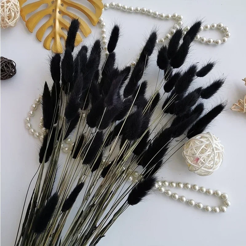 Сухоцветы Лагарус Оватус для декора YN HI FLOWER ENJOY YOUR LIFE