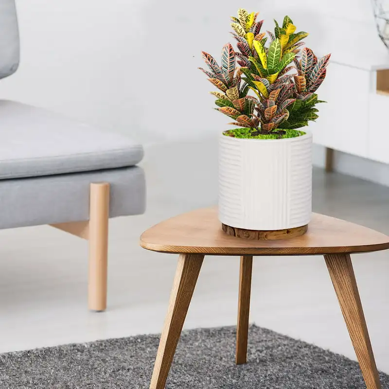 

Round Ribbed Pot on Wood Base, White