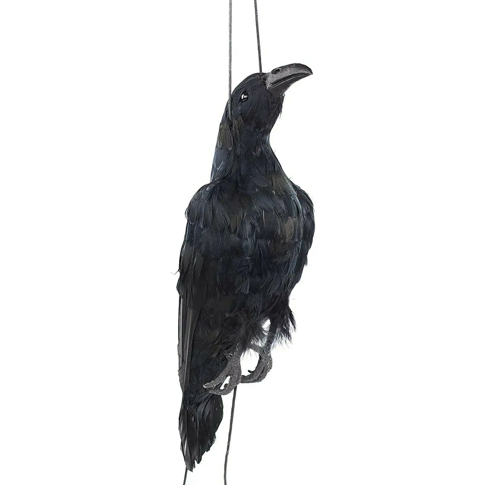 

Realistic Hanging Dead Crow Decoy Lifesize Extra Large Black Feathered