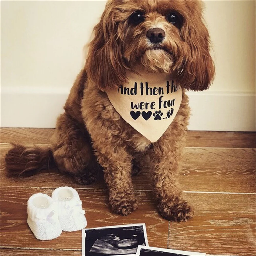 И затем была четыре собаки бандана объявление малыша ошейник беременности