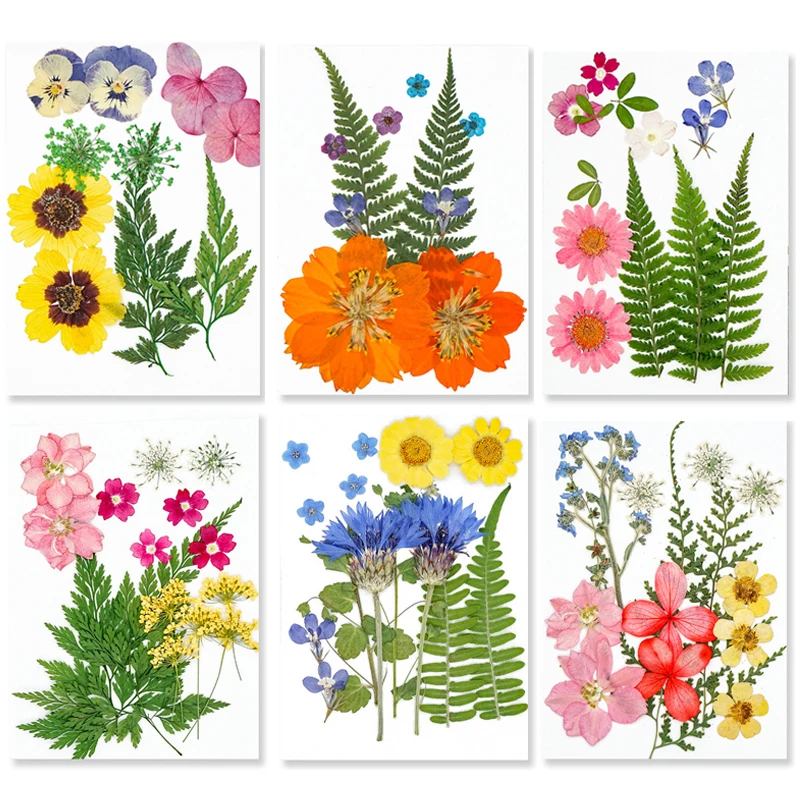 

Dried Flowers Pressed Flowers Stickers for DIY Phone Case Epoxy Resin Filling Pendant Jewelry Making Crafts Nail Art Decor