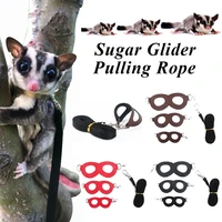 small pet chest strap cat puppy leash anti lost solid color lizard puppy rope anti flying strong pet supplies pet accessories