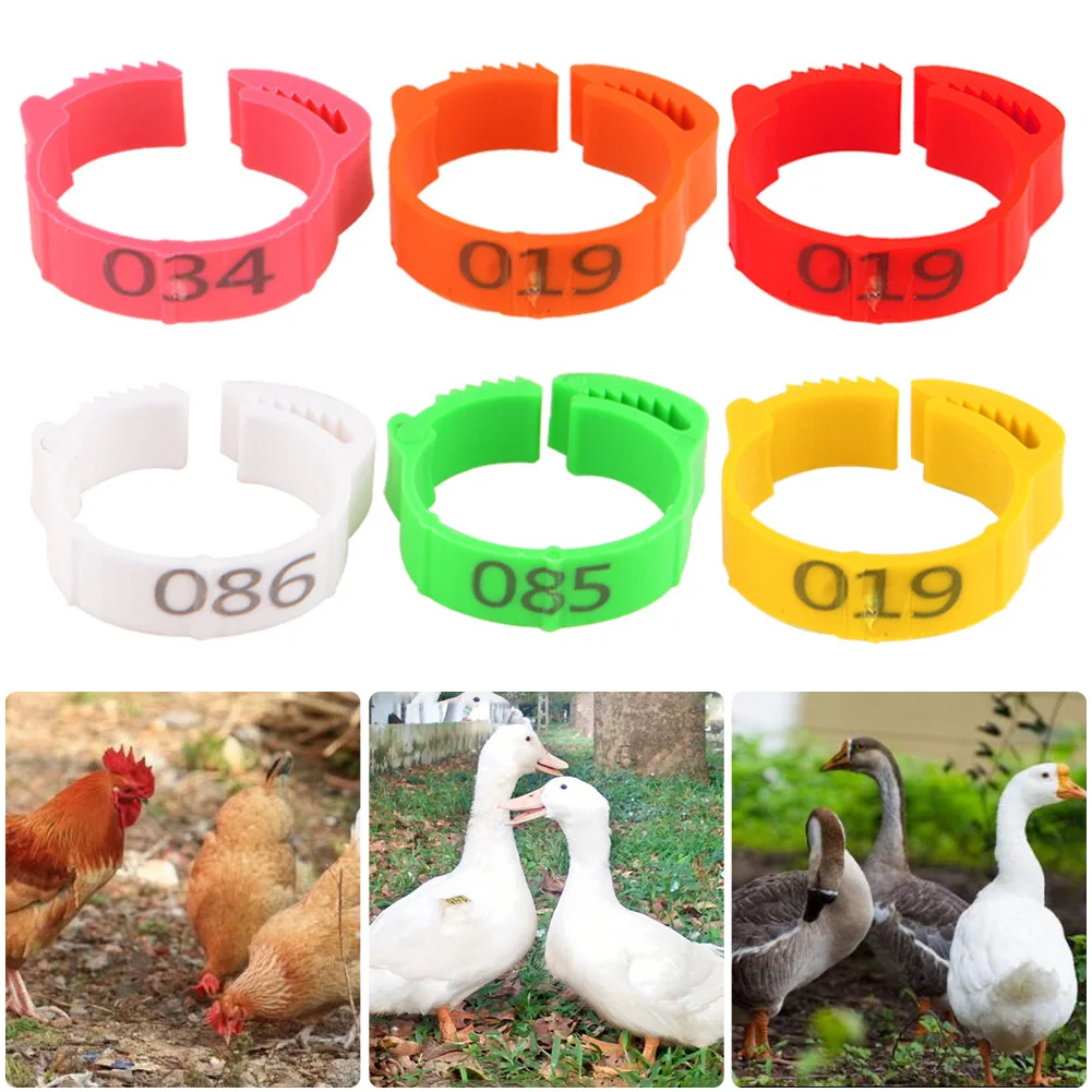 100PCS Chicken Foot Ring Marker Adjustable Size 1-100 Number Poultry Leg Label Buckle Ring for Farm Chick Duck Goose Suplies