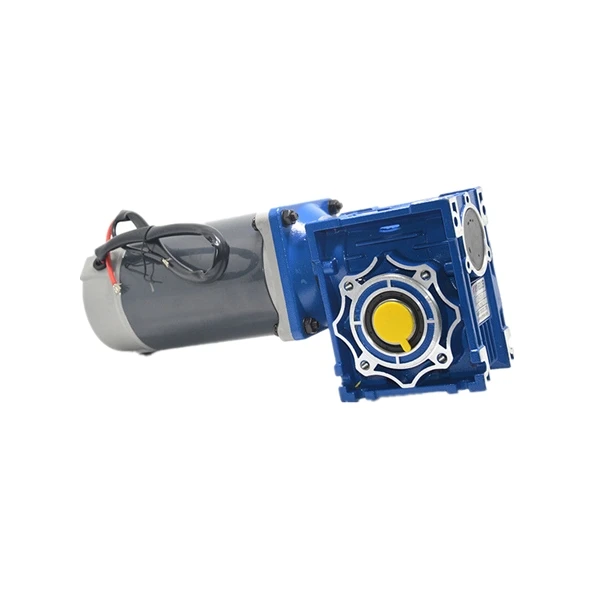 

12V 24V brushless DC motor 1500rpm 2000rpm nmrv40 reducer DC 500W gear motor with high torque
