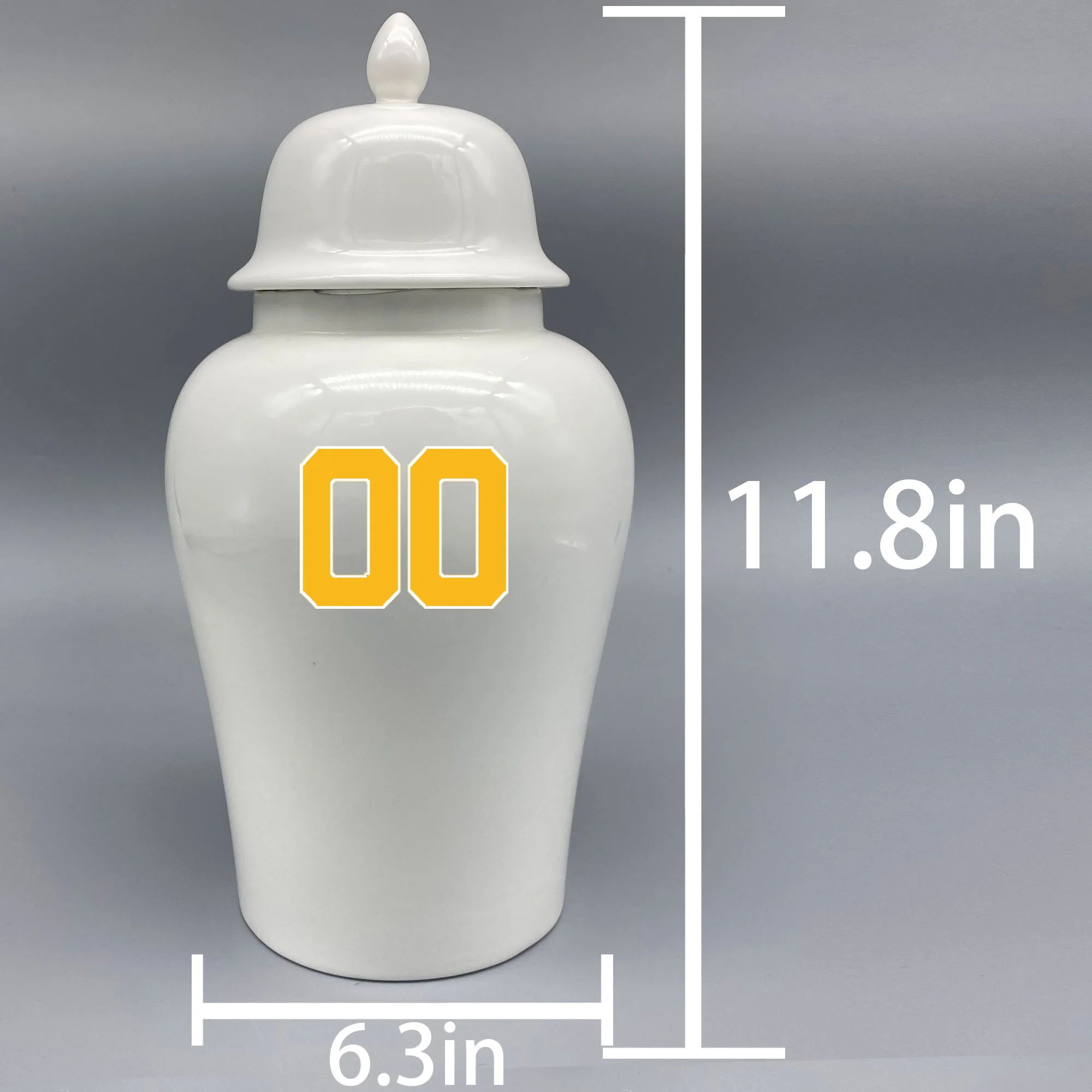 Большая урна для хоккейной урны с тематикой буйвола Сабра. Пожалуйста пришлите