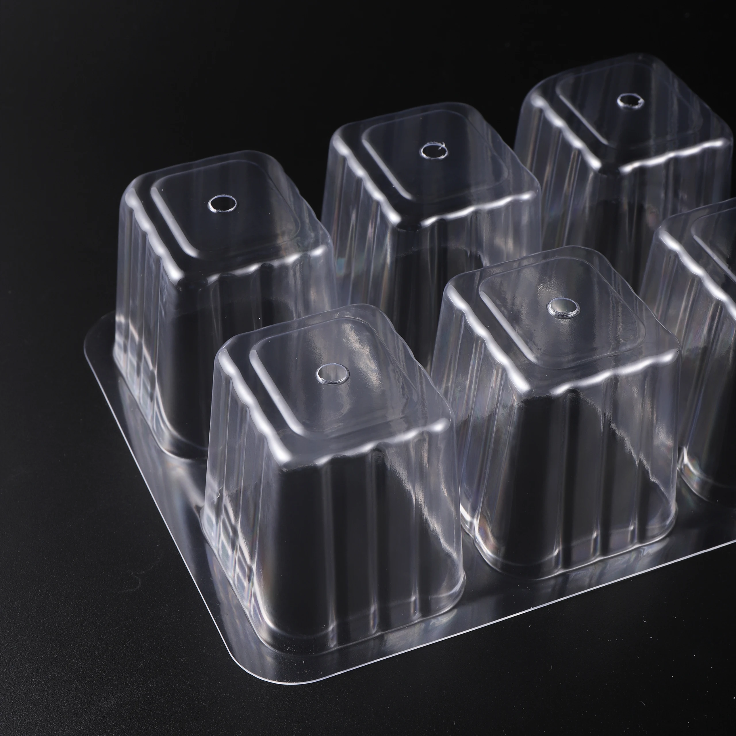 5 Pack/Set Seed Starter Tray Стартер для рассады растений с куполами выращивания света и