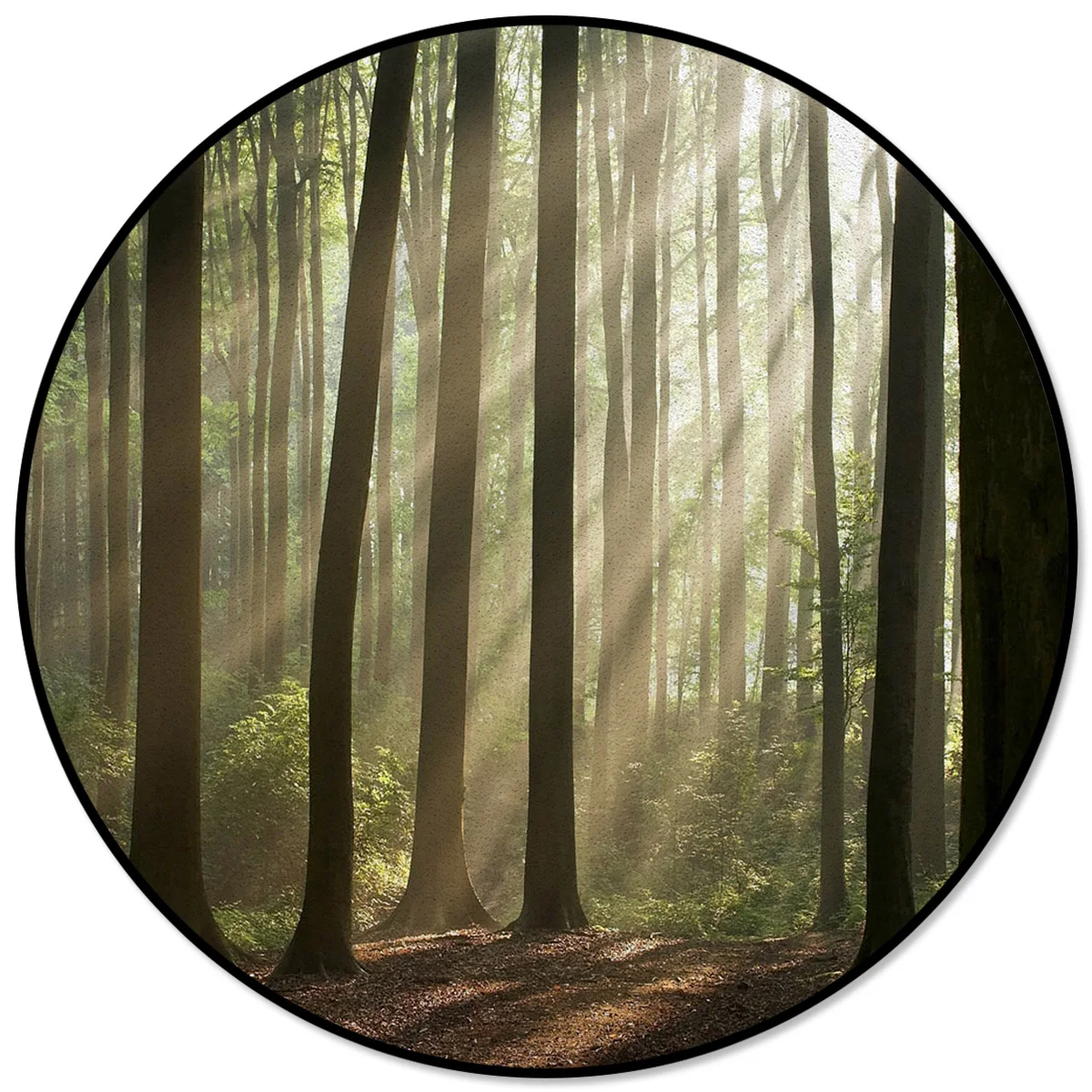 

Forest Sunshine Land Trees Wood Plant Leaves Rugs And Carpets For Home Living Room Round Rug For Children Rooms Non-slip