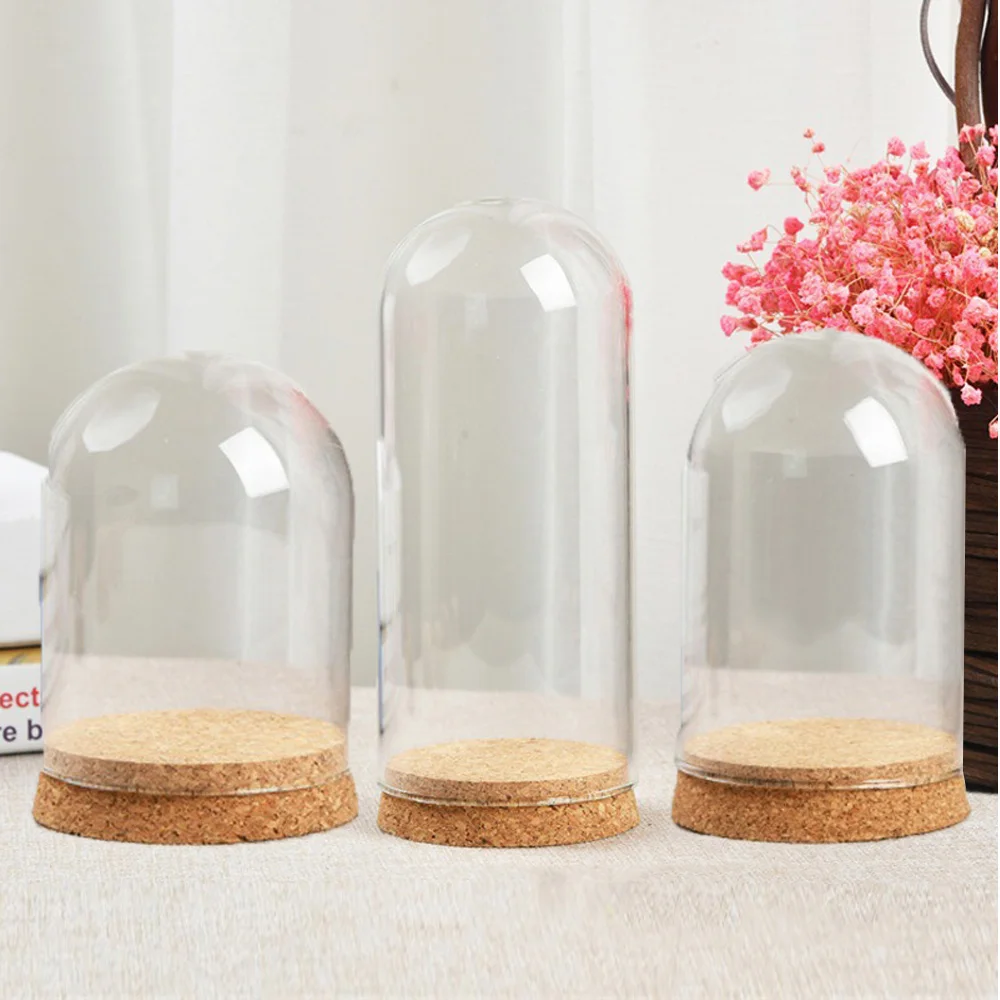 8/10/12cm Modern Handcraft Glass Dome Cover Dry Flower Vase With Wood Cork Base Landcrape Figurines Model Display Artwork