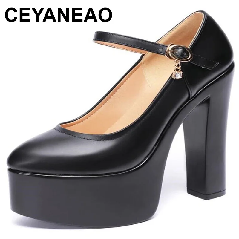 

Sexy Mary Jane New Women High Heels Black Women Pumps Female Platform Spring Thick With Autumn Round Single Shoes