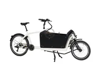 Electric Adult Tricycle 250w Rear Hub Motor Assisted 2 Wheel Family Cargo Bikes Shopping Bike