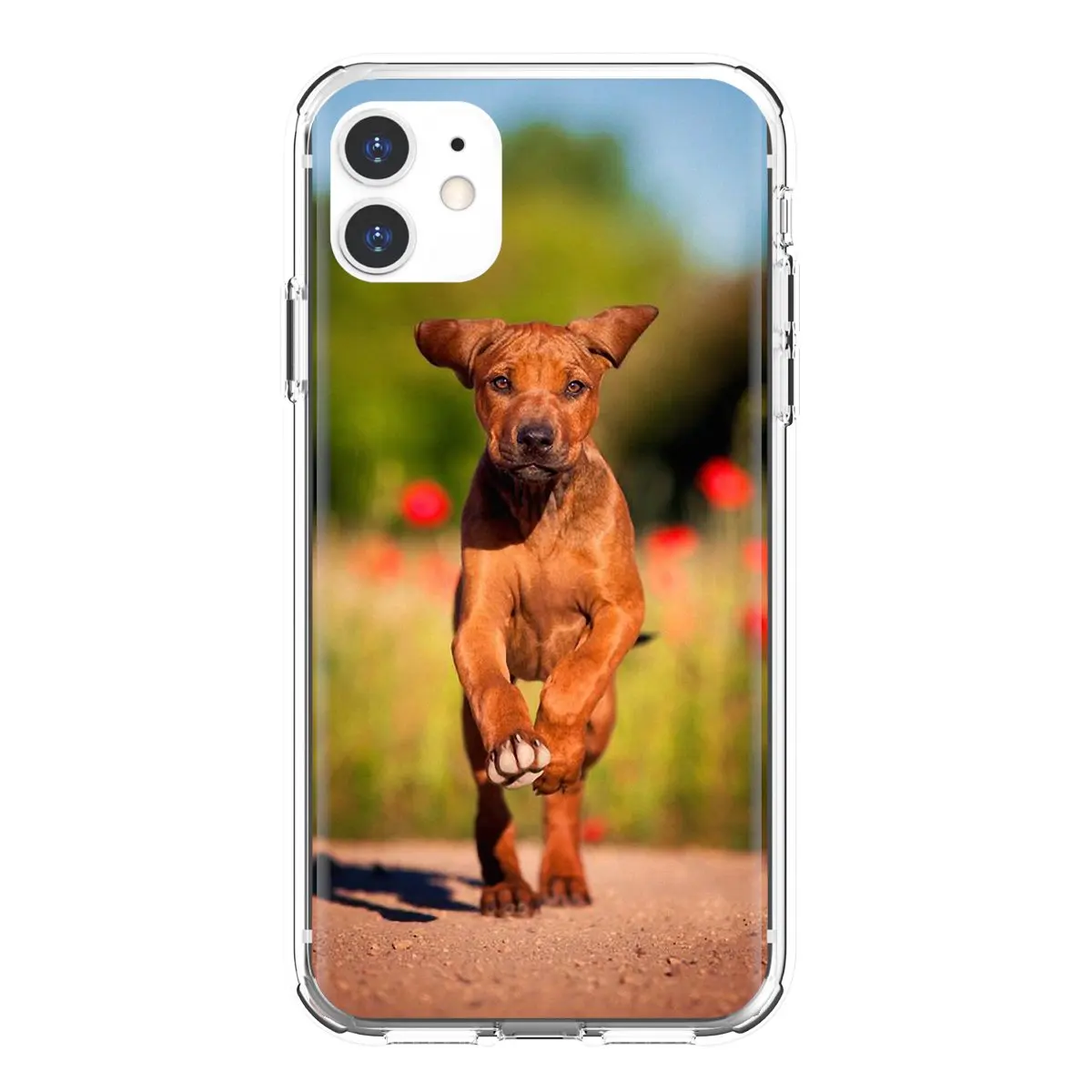 Чехол из ТПУ для iPhone 10 11 12 13 Mini Pro 4S SE 5C 6 6S 7 8 X XR XS Plus Max 2020 |