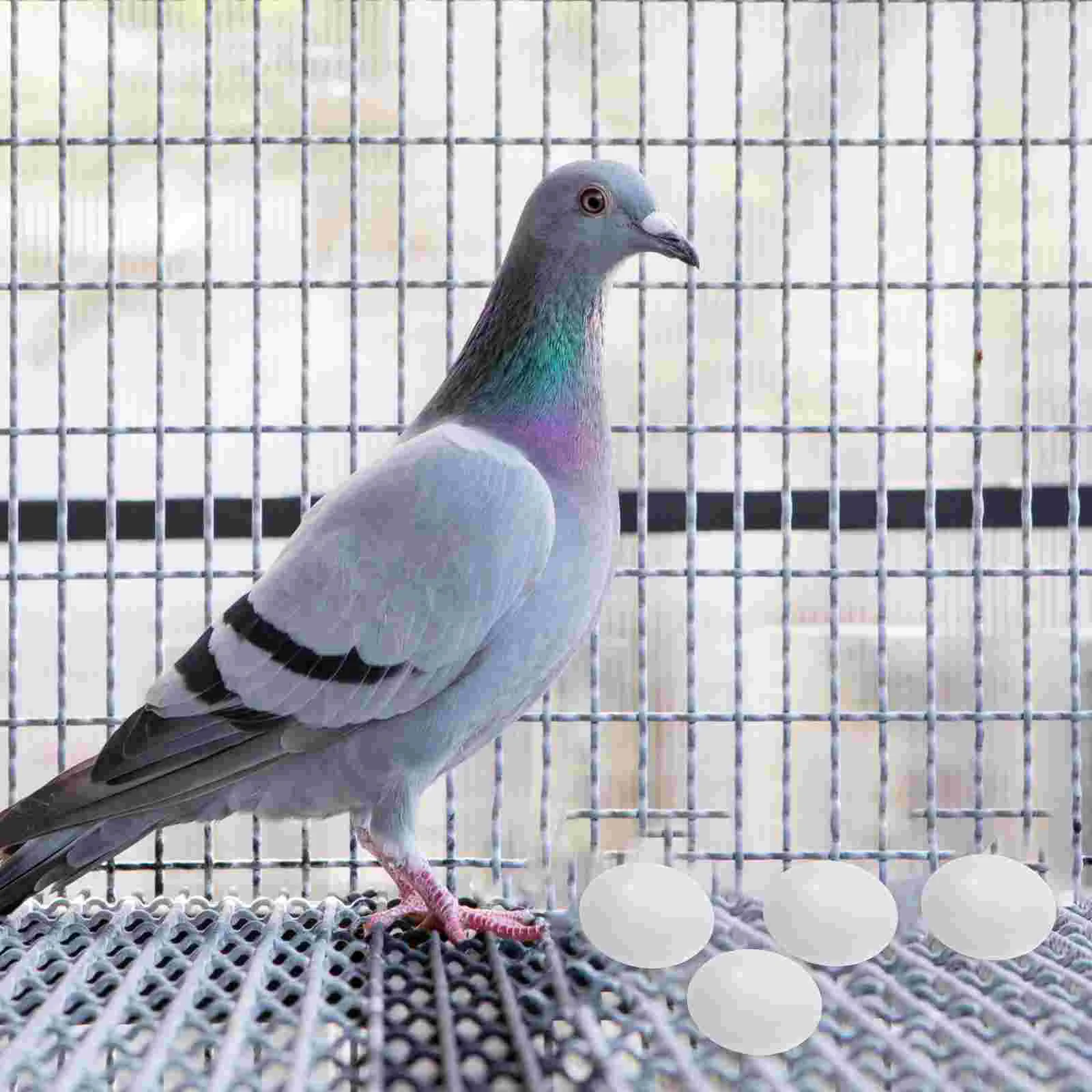 

Eggs Bird Egg Artificial Fake Prop Crafts Dummy Laying Training Girl Teether Blocks Old Hatching Pacifier Rat Simulation Parrot