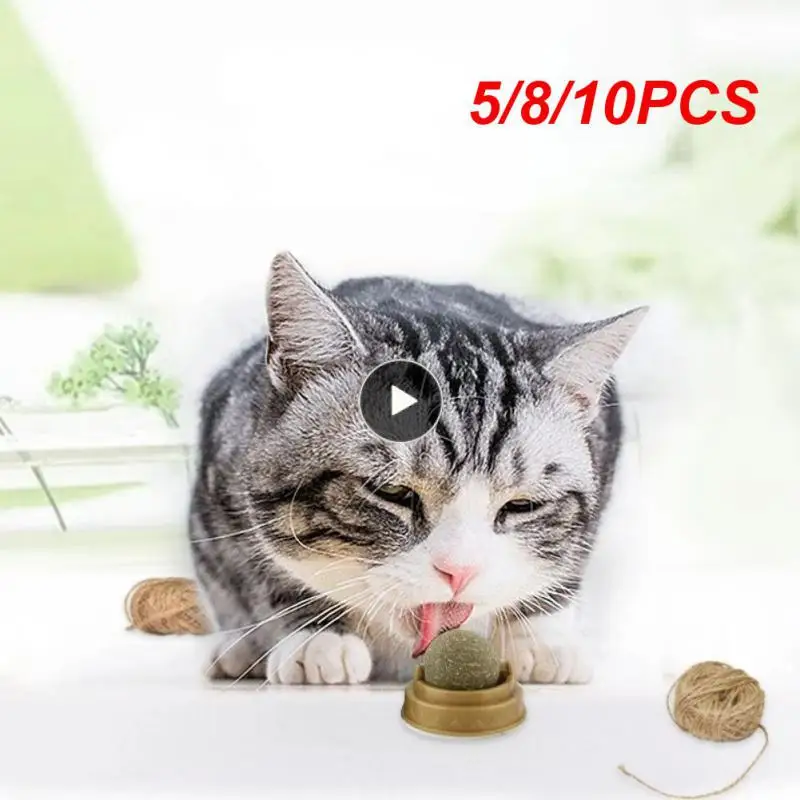 

5/8/10PCS Cat Litter Tray Pet Cat Tower Cat Scratcher Cat Toy For Cats Catnip Pet Supplies