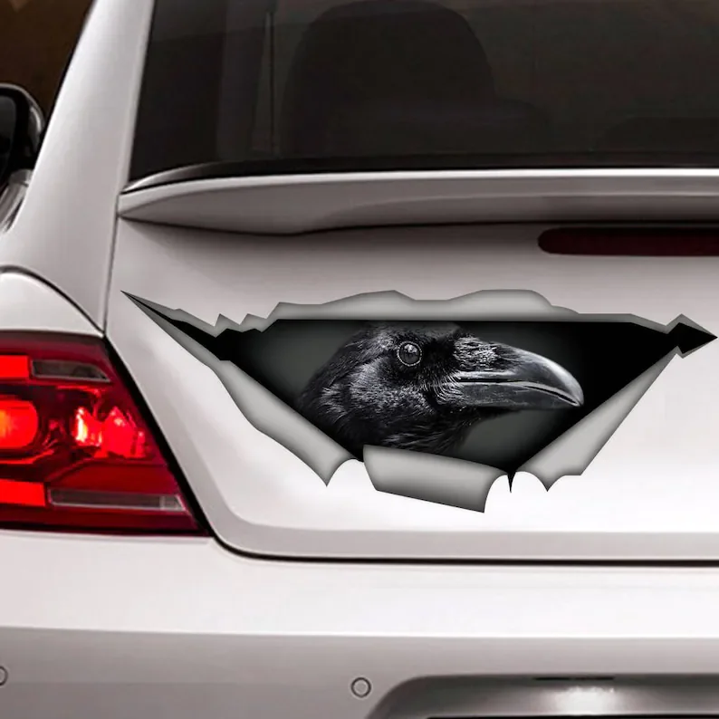 

Crow car decal, black bird decal, bird sticker, crow sticker