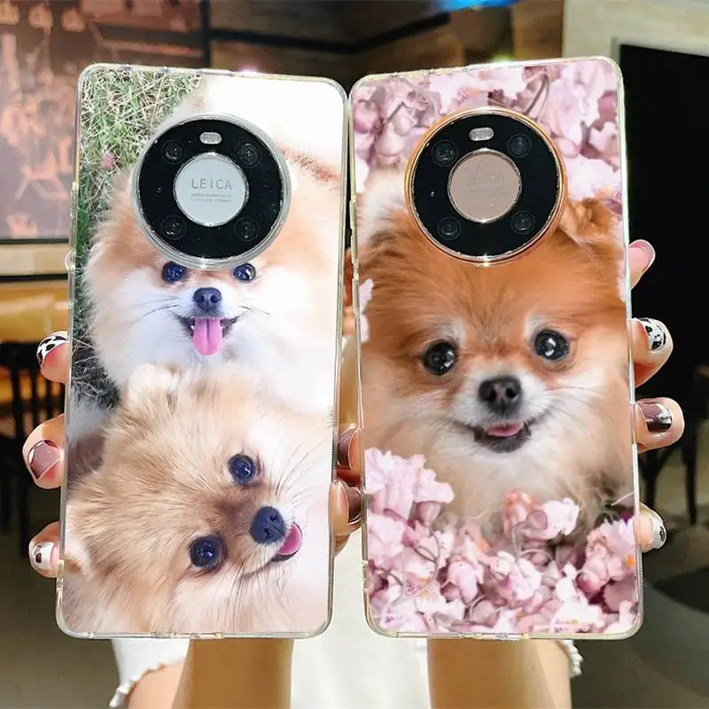 

RuiCaiCa Pomeranian dogs cute Phone Case for Samsung S21 A10 for Redmi Note 7 9 for Huawei P30Pro Honor 8X 10i cover