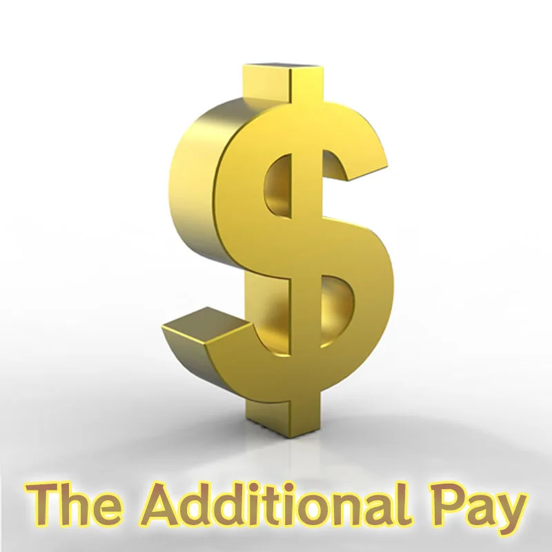 

Дополнительная оплата за ваш заказ 1 доллар