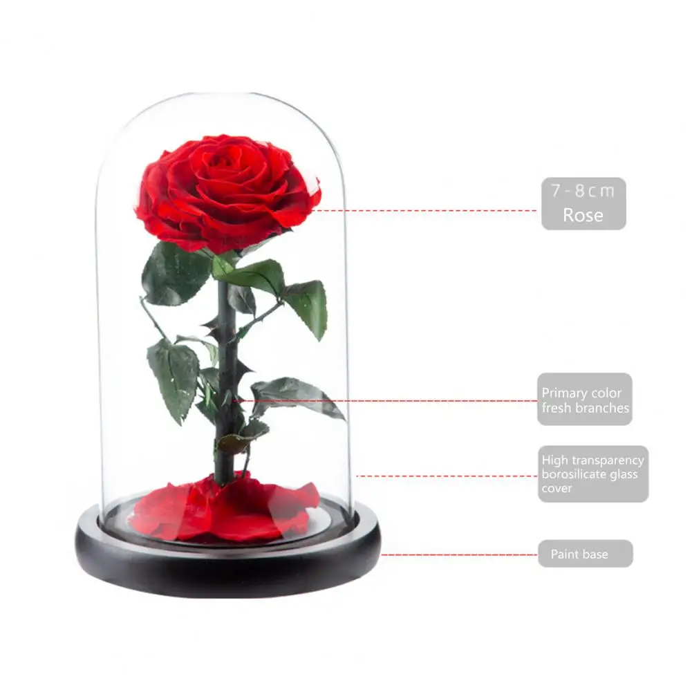 

Attractive Visible Transparent Cover Bright Color Rose in Glass Dome Birthday Gift Artificial Forever Flower Decorative