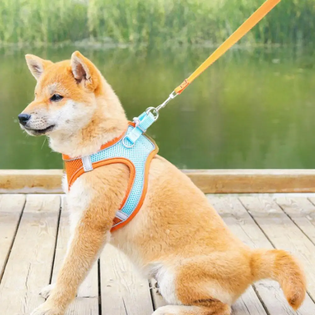 

Chest Harness Pet Supplies Accessories Pet Chest Strap Dog Dog Rope Reflective Collar Breathable Cat Braces Vest Chest Back P8W1