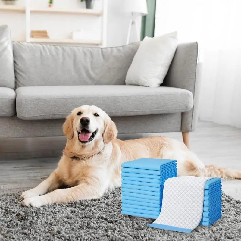 

Super Absorbent Pet Deodorizing Urine Diaper Dog Training Pee Pads Leakproof Potty Pads For Bunny Cats Healthy Clean Nappy Mat