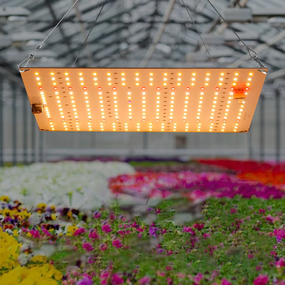 

50W EU US LED Grow Light Growing Light Spectrum Quantum Board Nursery Lamp For Indoor Greenhouse Tent Hydroponic Plant