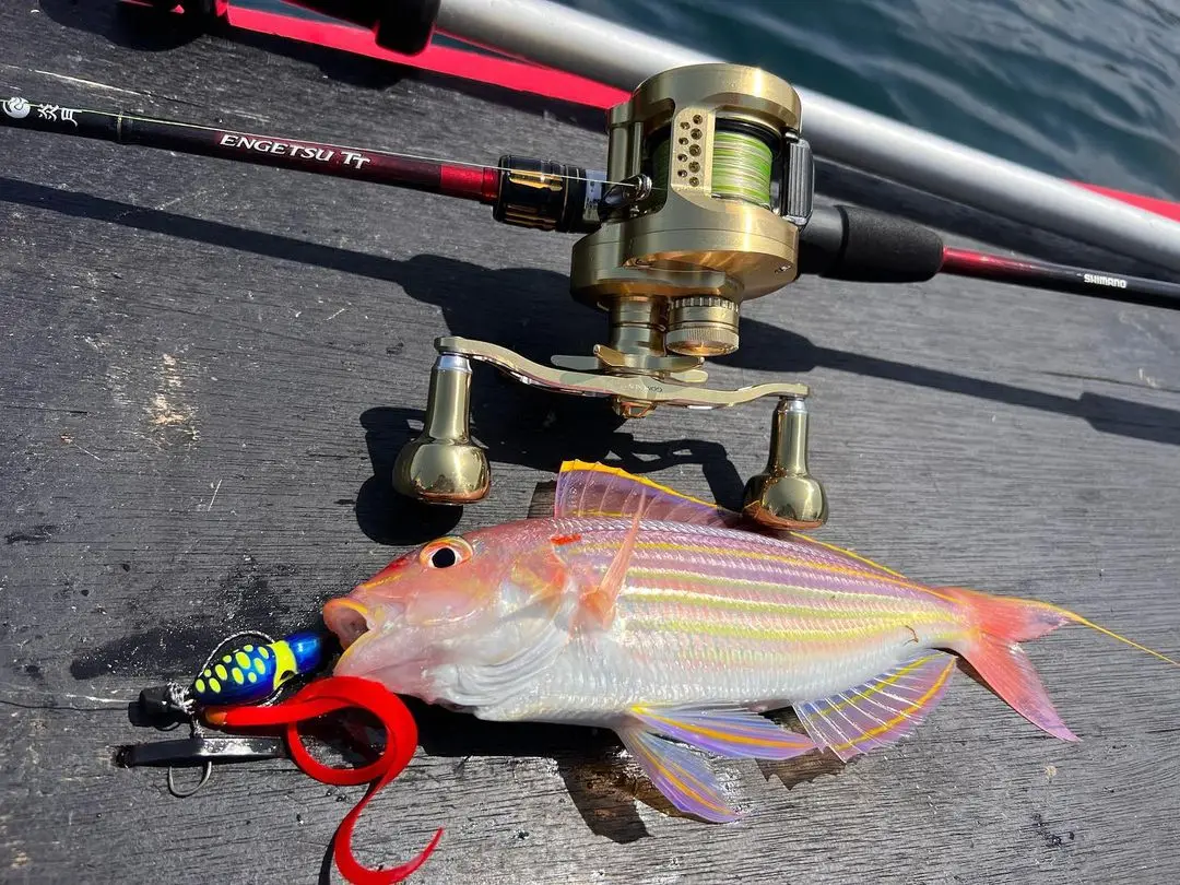 Фото Катушка GOMEXUS с рукояткой для Shimano (7X4 мм) Corvalus Ocea Conquest 200 Curado SLX Metanium Cardiff Reel 120 мм, новые другие №2