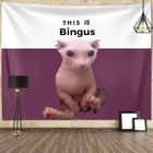 Забавный это Bingus кошачий гобелен эстетический мем диван одеяло для гостиной ковер ткань кавайный макраме Настенный декор пляжные коврики