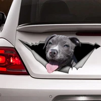 sticker grey pitbull car decal vinyl decalpet sticker dog decal pitbull decal