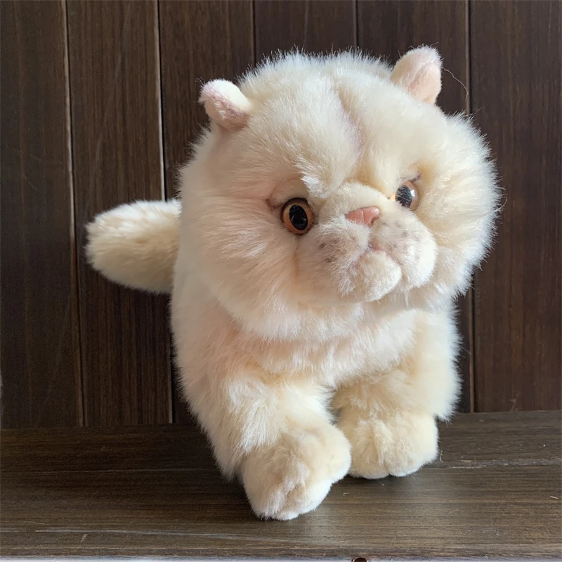 

Realistic Persian Cat High Fidelity Cute Plushie Doll Cat Plush Toys Lifelike Animals Simulation Stuffed Doll Kawai Toy Gifts