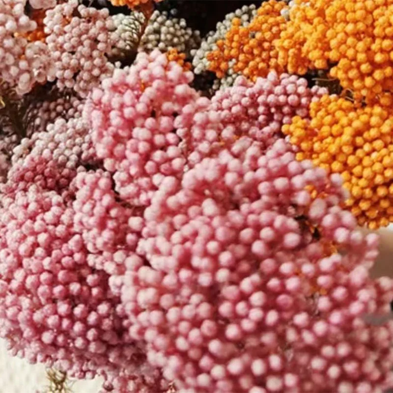 

50g Atural Millet Fruit Dried Flower Artificial Flowers For Wedding Decoration Easter Decoration 2023 Mother's Day Bridal Weddi