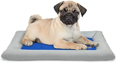 

Self Cooling Bed Pet Bed \u2013 Solid Gel Based Self Cooling Mat for Pets, Includes a Foam Based Bolster Bed for Extra Comfort
