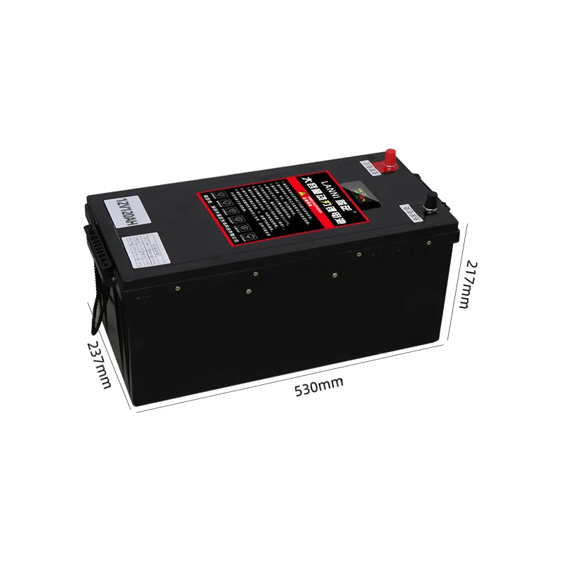 Рисунок 4 - Литий-ионный Аккумулятор LiFePO4