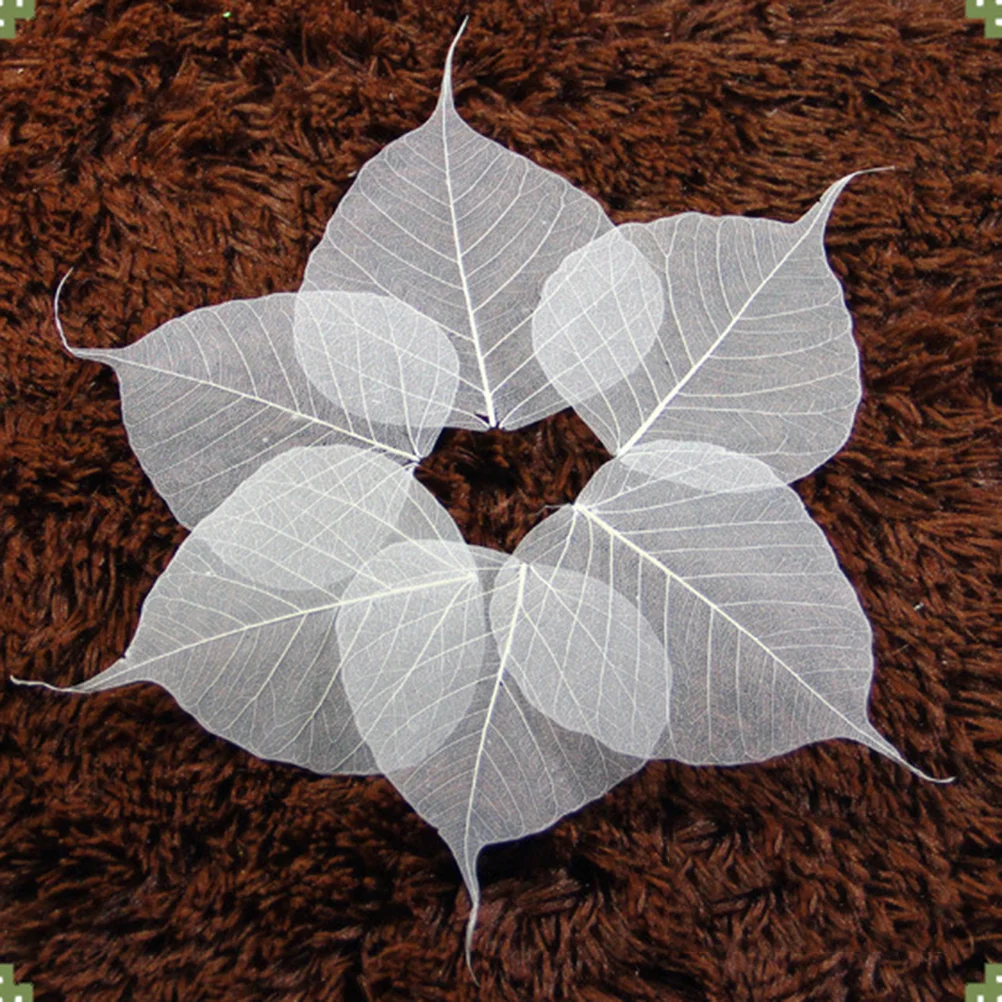 

Leaves Leaf Craft Tree Vein Bookmark Dried Natural Project Specimen Diy Handmade Scrapbooking Embellishments Decorative White