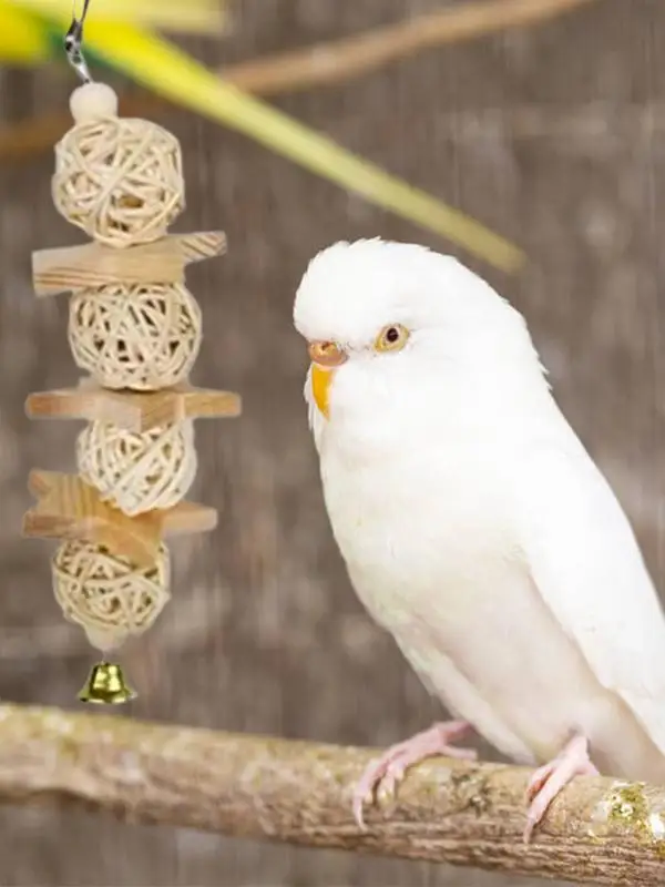 

Bird Chew Toy Bird Cage Bell Toys Set Of 7 Parakeet Swing Chewing Toy With Bell For Small Parakeets Cockatiels Conures Parrots