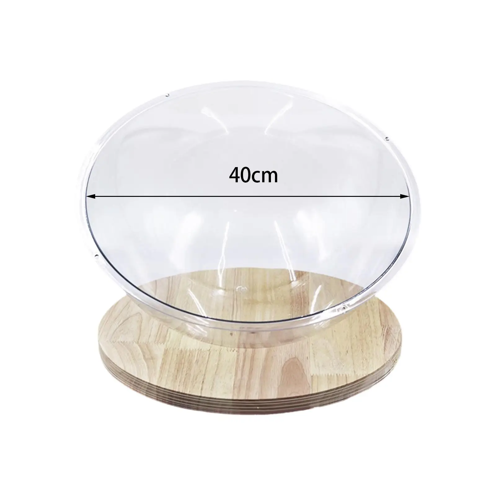 Современная акриловая кровать для кошек маленьких домашних