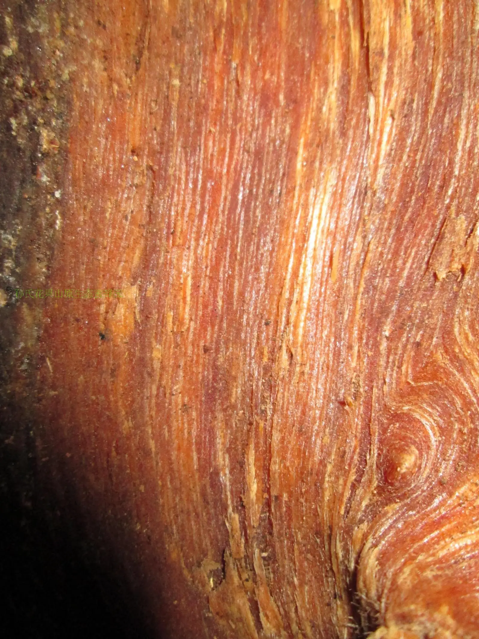 Northeast Korean Pine Songming Seed Submerged Wood Amber 20 Yuan/Jin