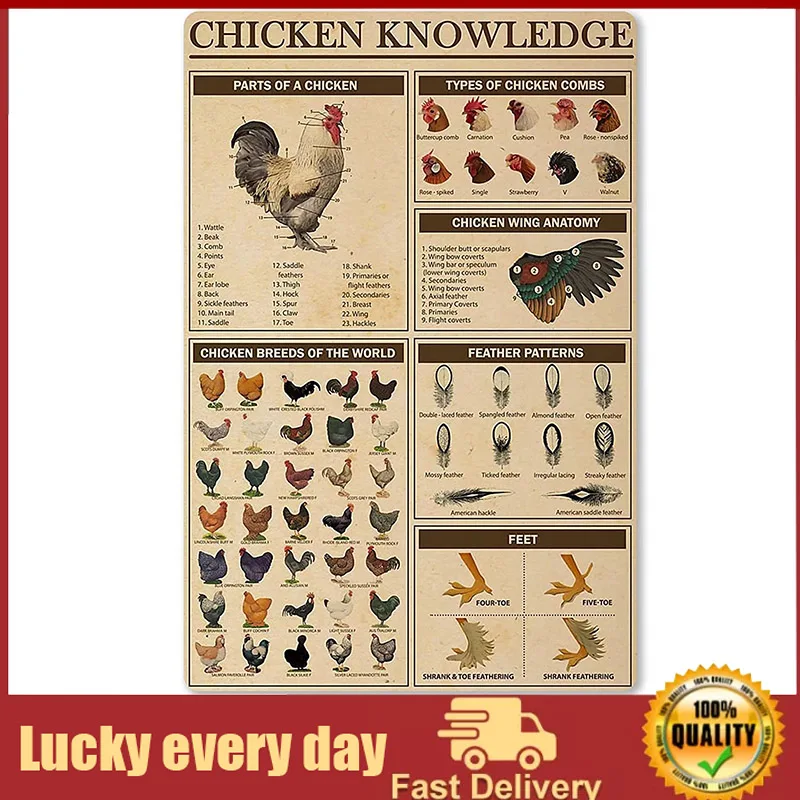 

Chicken Knowledge Metal Tin Sign Chicken Breeds of The World Infographics Retro Poster Plaque for Club Cafe Bar Home Kitchen