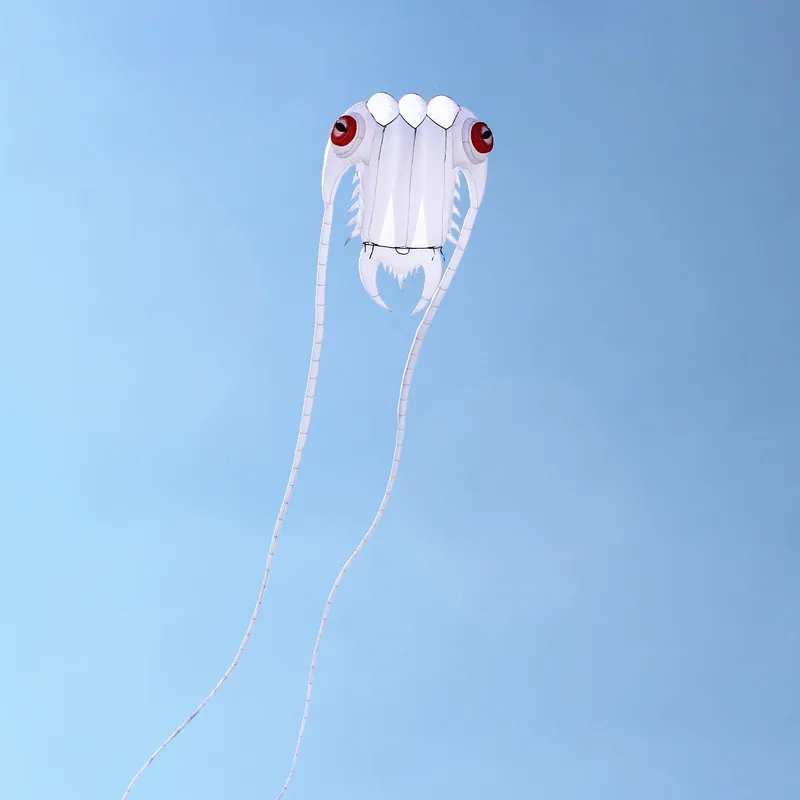 Купить Бесплатная доставка, светодиодный веревочный воздушный змей для взрослых, веревочный змей, веревочный шнурок для виндсерфинга, папалалото... Продажа Бесплатная доставка, светодиодный веревочный воздушный змей для взрослых, веревочный змей, веревочный шнурок для виндсерфинга, папалалото...